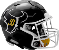 Brashear Bulls logo